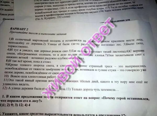 Прочитайте текст столики в кафе расположенный справа. Найдём в тексте ответы на вапрос. Текст вопрос ответ. В тексте предложение содержащее ответ на вопрос. Ответь на вопросы по тексту.