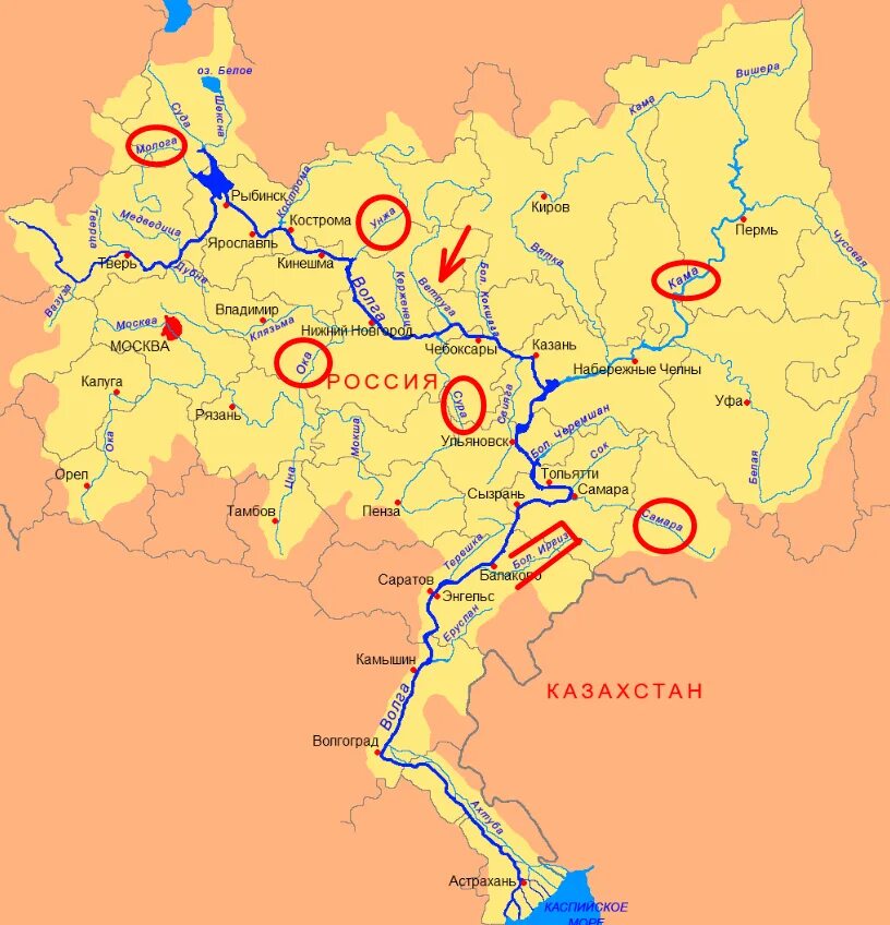 Название крупнейших притоков волги. Карта реки Волги с притоками. Река Волга на карте России. Река Волга на карте России показать. Река Волга карта реки.