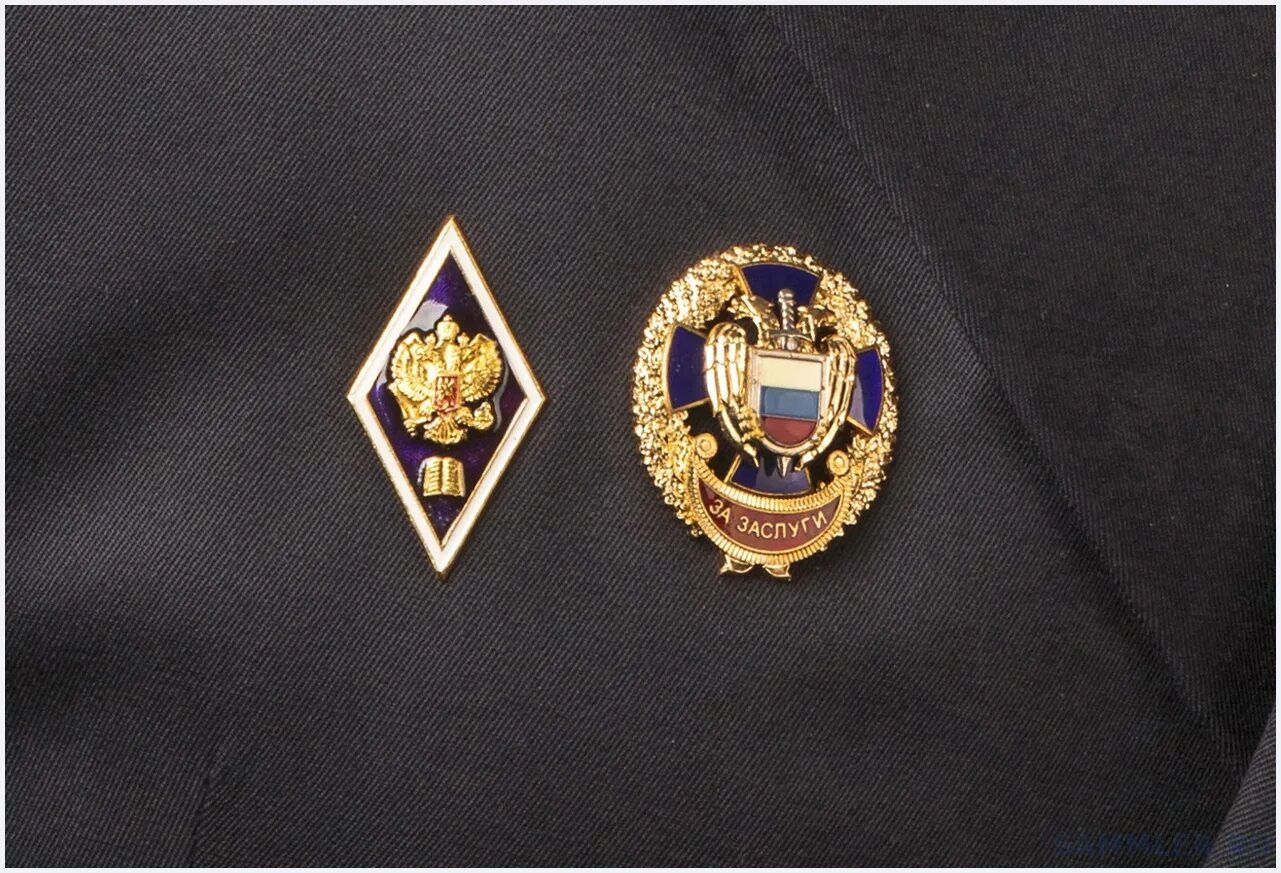 формы государственной охраны