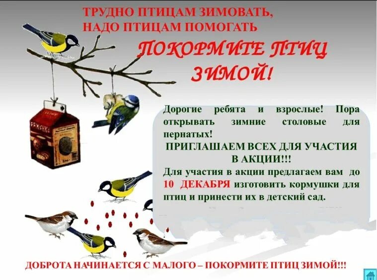 статья зимующие птицы в детском саду. акция покорми птиц зимой. плакат. статья зимующие птицы в детском саду. задача про зимующих птиц.