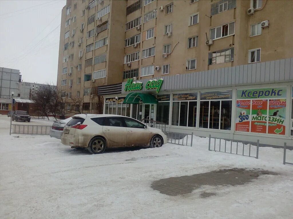 Калейдоскоп волжский сад