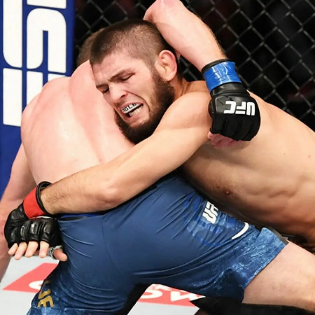 Бой хабиба и гейджи. Победит хабиба. Ufc khabib. Победит хабиба. Победит хабиба.