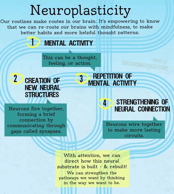 Thinking i wanted to. Neuroplasticity of the Brain. Neural connections. Mechanism of Neuroplasticity. «Механизм действия в Mindfulness».