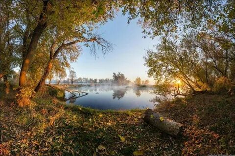 Осень лови