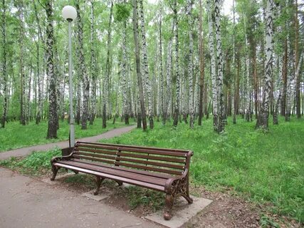 Жулебинский парк