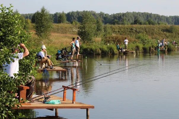 Рыбацкая деревня калужская область. Платный водоем для рыбалки. Озёрное охотхозяйство рыбалка. Платная рыбалка в подмосковье. Бухловка платная рыбалка.