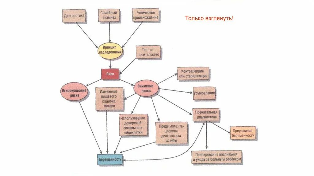 Состав наследства. Промежуточное наследование. Промежуточное наследование. Тест по наследственному праву. 2 семьи диагноз.