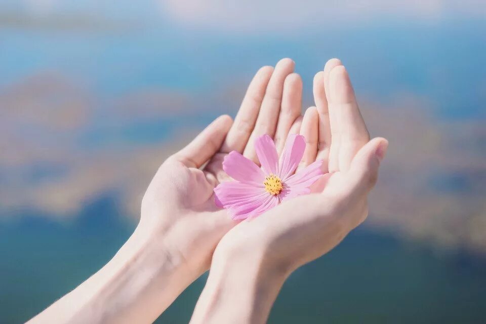 Руки цвета весны. Цветок на руку.. Цветы в ладонях. Цветы в протянутой руке. Цветочек в руке.