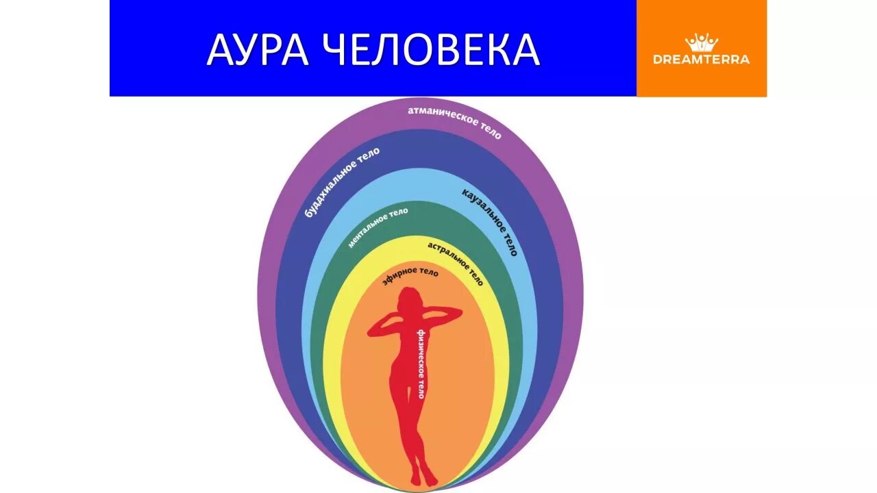 Аура человека что это. Аура человека. Биополе человека Аура. Размеры биополя человека. Энергетическое поле человека.