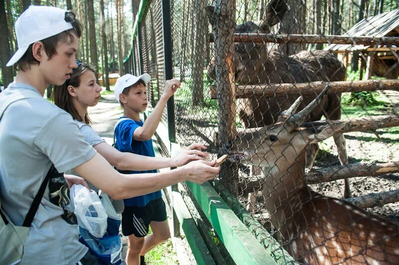 Прогулка в зоопарке. Новосибирский зоопарк экскурсия. Экскурсии зоопарк Новосибирск. Прогулка по зоопарку. Экскурсия в зоопарк для школьников.