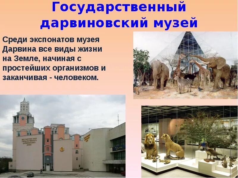 Музей доклад 3 класс. Дарвиновский музей доклад 2 класс. дарвиновский музей описание. музей для презентации. доклад о музее.
