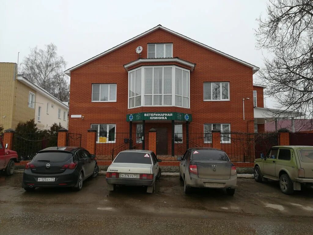 ветбум щекино. ветбум щекино. ветбум адреса. ветбум щекино. вильдар щекино ветеринарный центр.