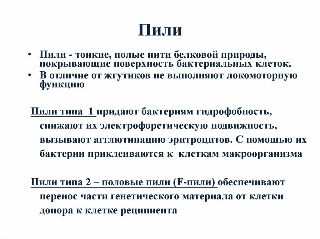 Пили бактерий функции. Пили функции. Типы пили у бактерий. Функции пилей у бактерий. Типа попита