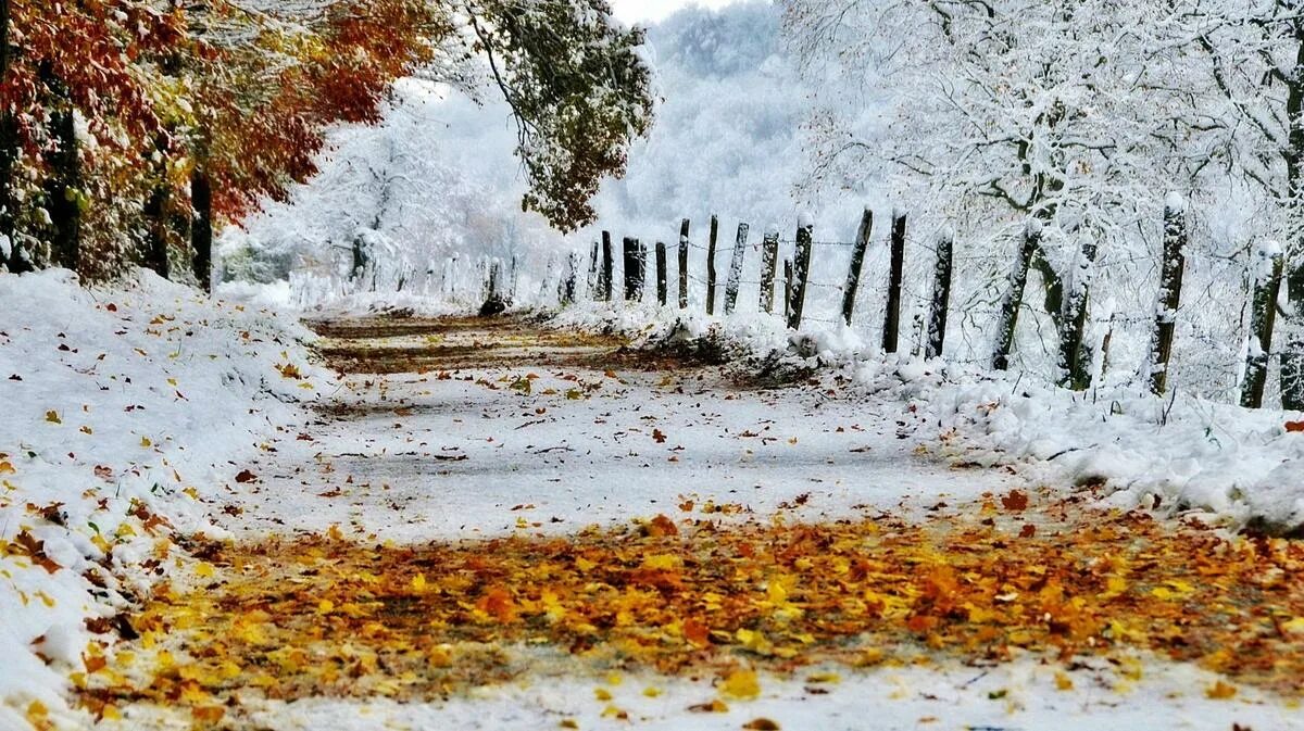 Где наступила зима. Поздняя осень. Ранняя зима. Снежная осень. Осень снег.