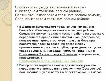 Правила ухода за лесами