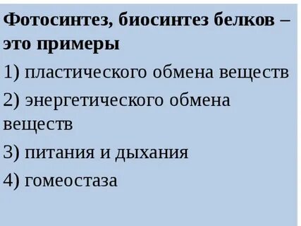 Процесс фотосинтеза является примером пластического обмена