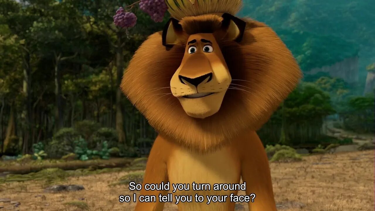 Лев из мультика мадагаскар. Мадагаскар (dreamworks,2005). дримворкс мадагаскар 1. лев алекс из мультфильма мадагаскар. алекс из мадагаскара 2.