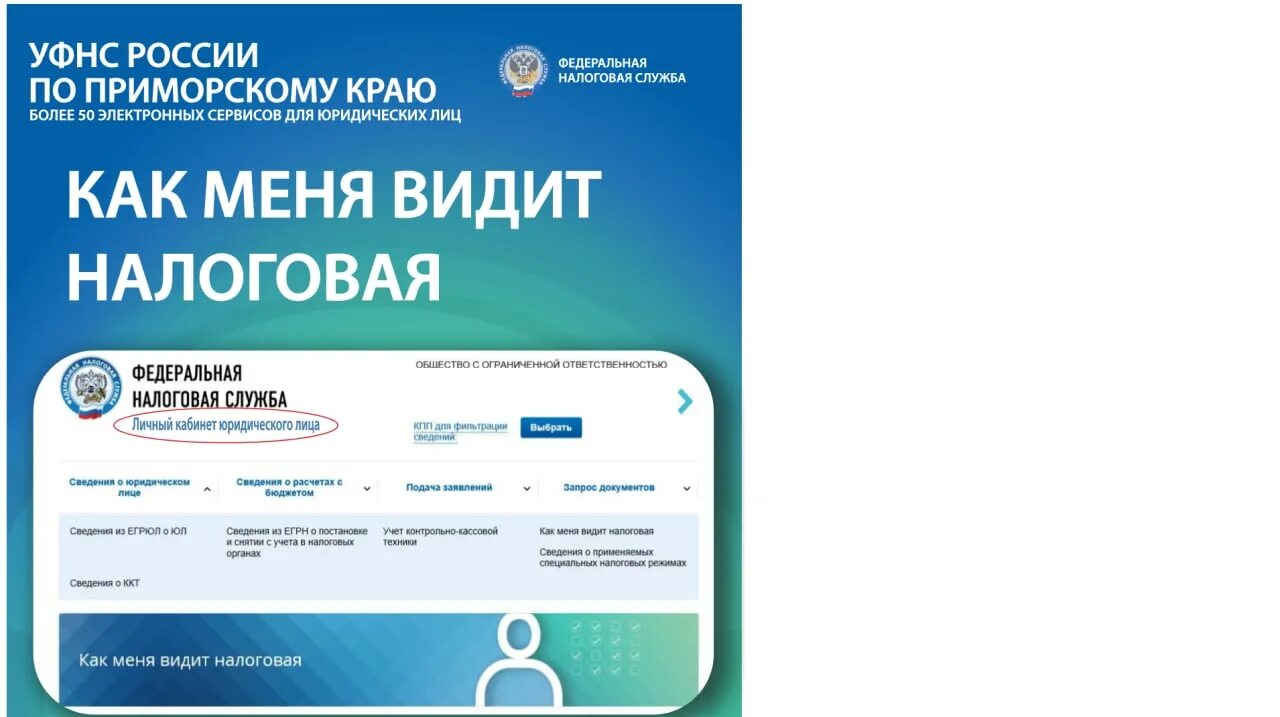Налог видное. Личный кабинет налогоплательщика. Личный кабинет юридического лица. Как меня видит налоговая в личном кабинете юридического лица. Как меня видит налоговая.