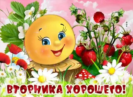 Доброе утро вторника лета