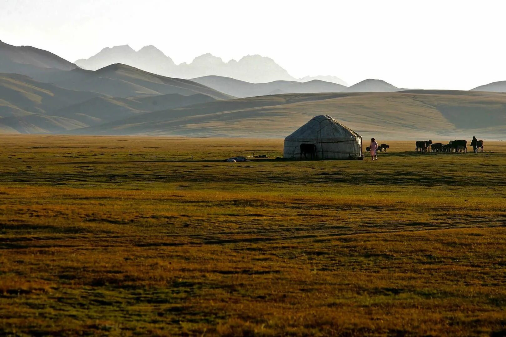 Степь азии. Центральная азия монголия. Степи монголии. Степи башкирии. Степи казахстана и кумыс.