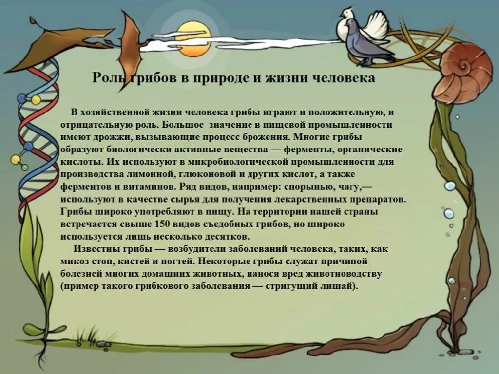 Роль грибов в природе. Роль грибов в жизни. Роль грибов в жизни человека. Грибы роль в природе и жизни человека.