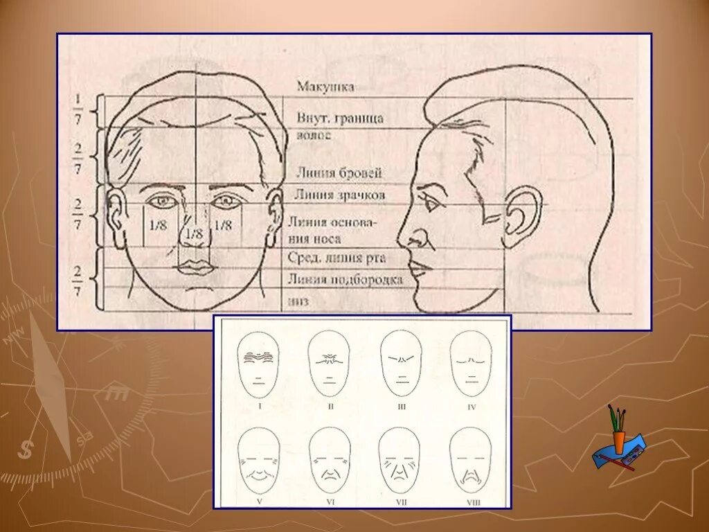 Изо 4 класс презентация портрет. Изо пропорции лица человека. Уроки рисования портрета. Пропорции рисования портрета. Этапы рисования лица человека.