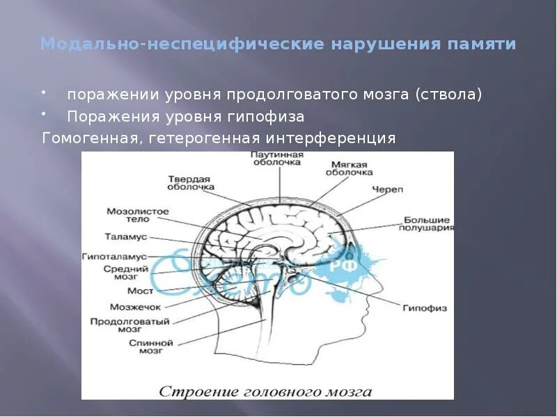 Нарушения памяти при повреждении структур мозга. Нарушение памяти при локальных поражениях головного мозга. Модально-неспецифические нарушения внимания. Нарушения внимания при локальных поражениях мозга нейропсихология. Неспецифические изменения головного мозга