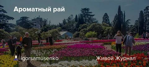 Билеты в никитский ботанический сад 2023