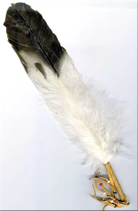 Feathering his own. Орлиное перо. Белое перо с черным кончиком. Перья индейца. Связка из перьев.
