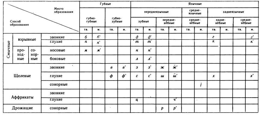 Губные язычные таблица. Согласные звуки губные губно-зубные. Согласные губно зубной щелевой. Классификация гласных звуков фонетика. Звонкие смычные