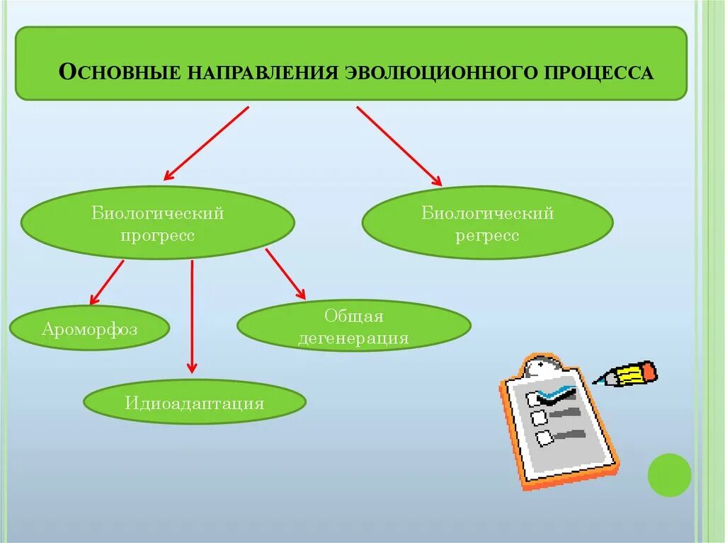 Направление эволюционного прогресса. Направление эволюционного прогресса