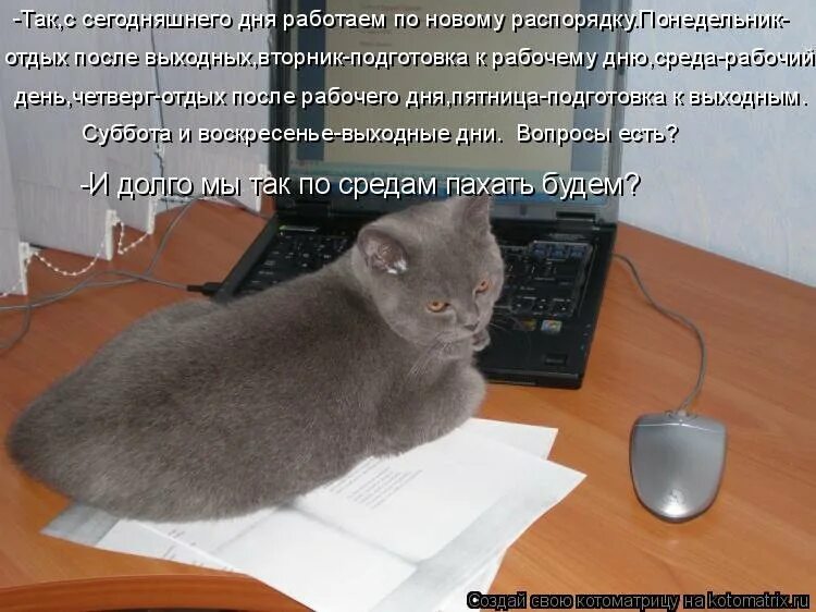 Рубль после выходных