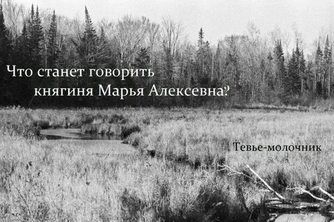 Она хотела повеситься но институт экзамены сессия
