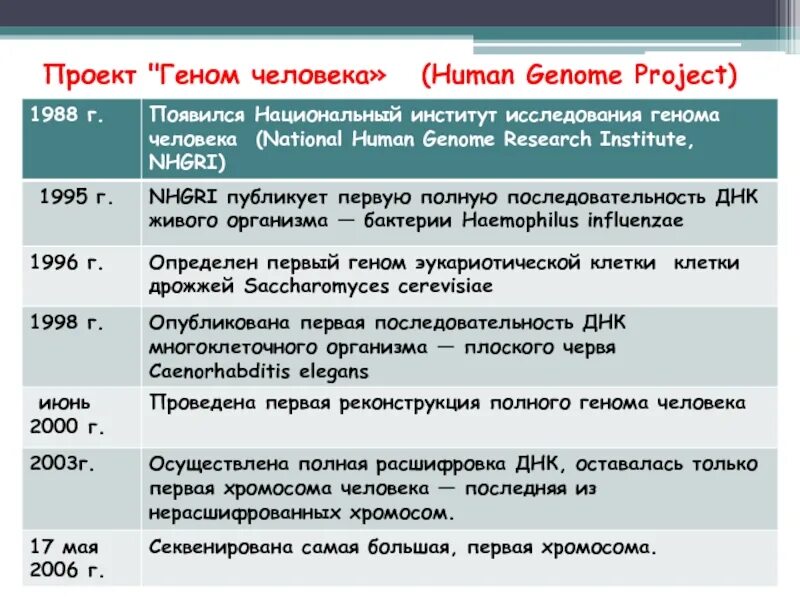 Проект геном человека презентация 11 класс Международный проект геном человека утвержден