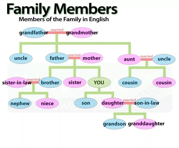 Family members in English. Слова по теме Family members. Family members лексика. Family members 6 класс. Английские семьи названия