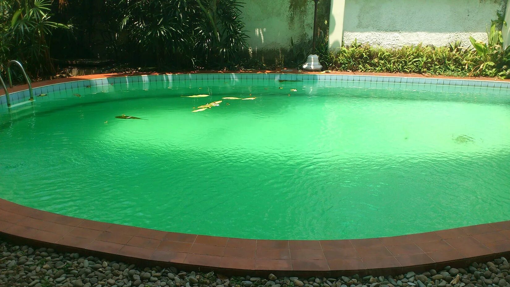 Dirty pool