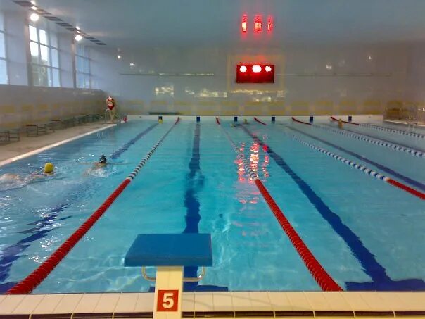 Соревнования по плаванию 2022 дети торжок. Бассейн городе торжке. Торжок спина плавания. Бассейн торжок. Плавательный бассейн дельфин смоленск.