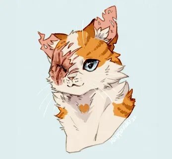Коты воители яролика