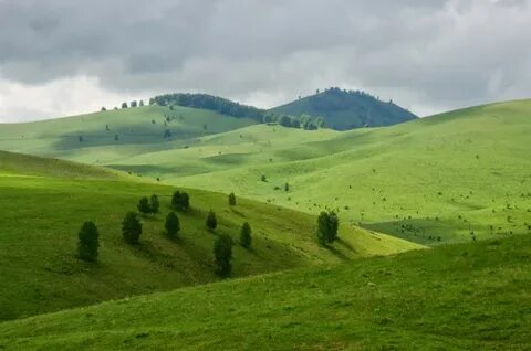 С красногорское алтайский край