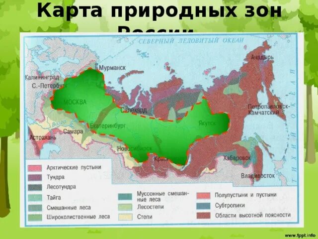 Карта природных зон России широколиственные леса. Тайга на карте России природных зон. Таежная зона России на карте. Контурная карта России природные зоны и ресурсы.