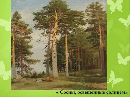Освещенной солнцем опушкой