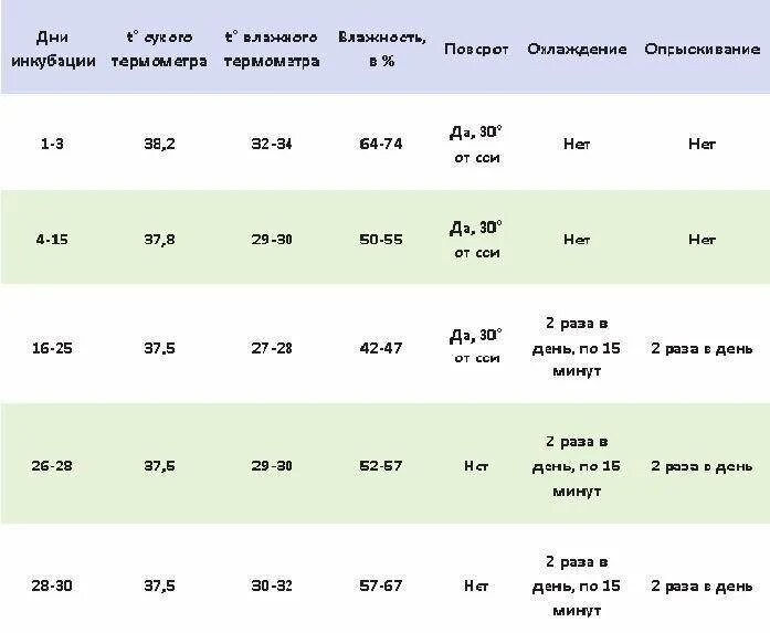 Температура внутри инкубатора. Таблица для инкубатора куриных яиц. Таблица для гусиных яиц в инкубаторе. Таблица инкубации гусиных яиц. Таблица вывода цыплят.