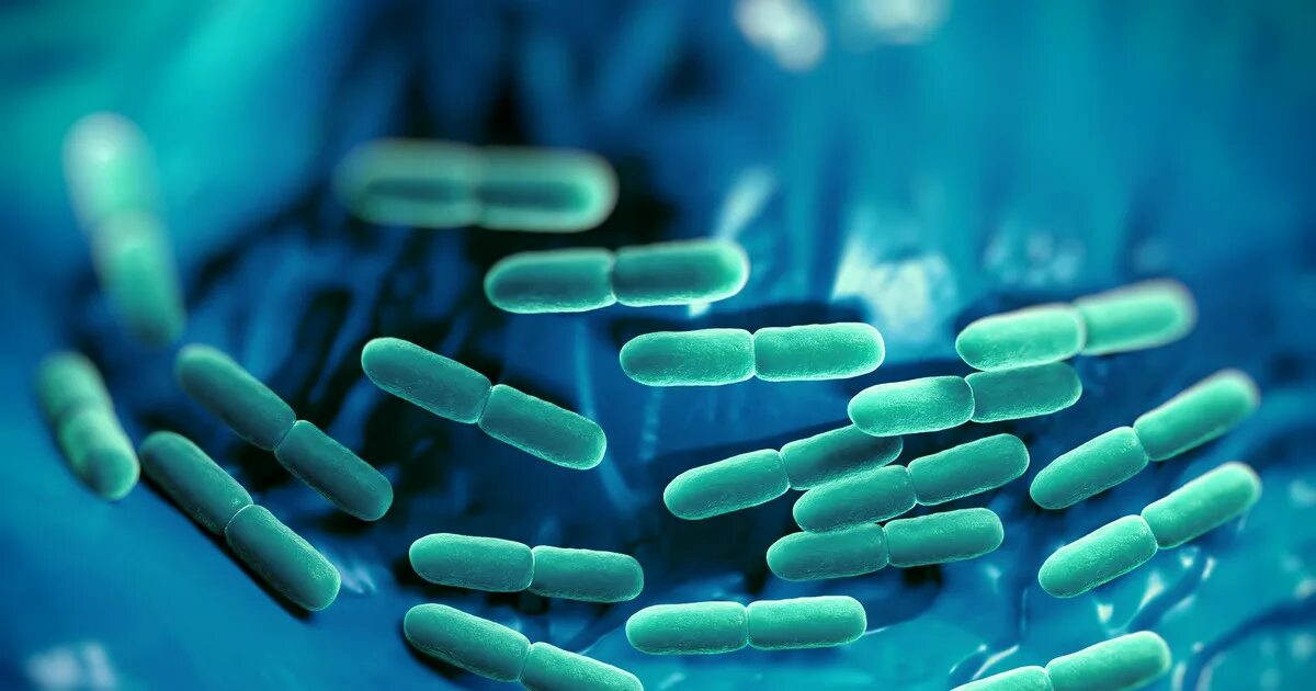 Mineral probiotic fractions