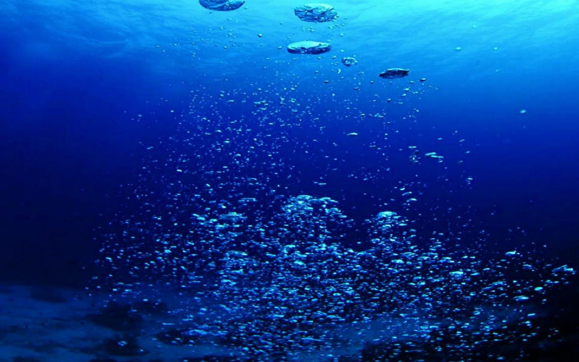 Синий океан 1. Океаны. Глубина. Дно моря. Морские глубины. Океан под водой.