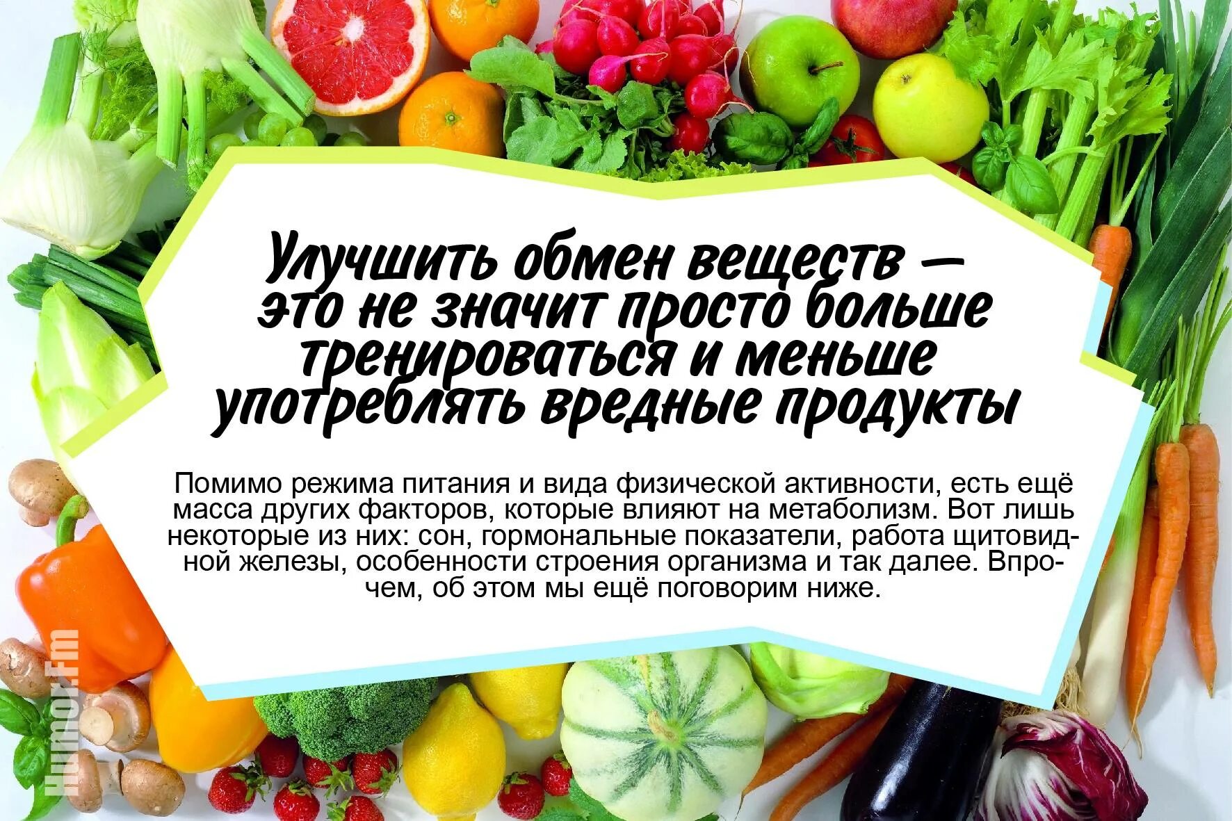 Восстановить обмен веществ. Что улучшает метаболизм. Восстановить обмен веществ в организме. Как улучшить метаболизм.