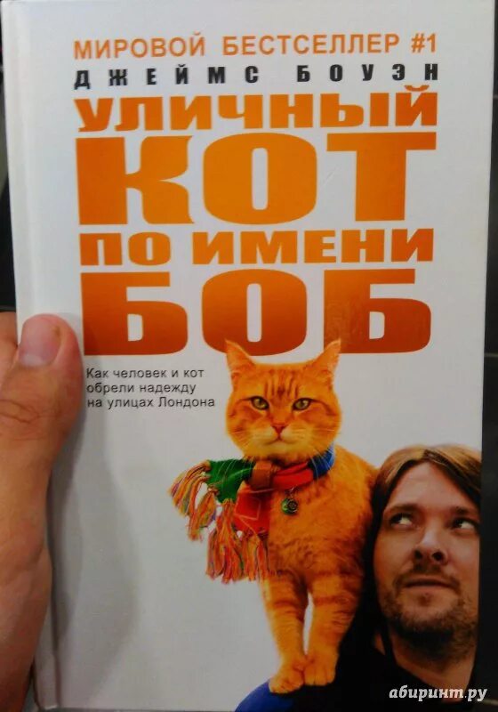 Книга про боба. Кот по имени Боб книга. Обложка книги кот по имени Боб. Дж. Боуэн, «кот по имени Боб».
