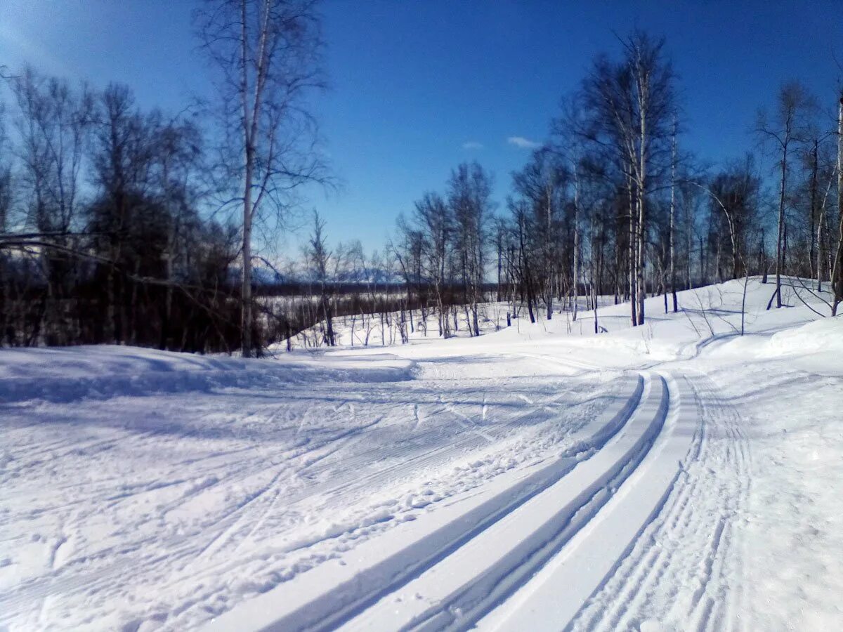 Лыжня в Битцевском лесу. Лыжная трасса Заводоуковск. Заводоуковск лыжная база. Яхрома Лыжня.