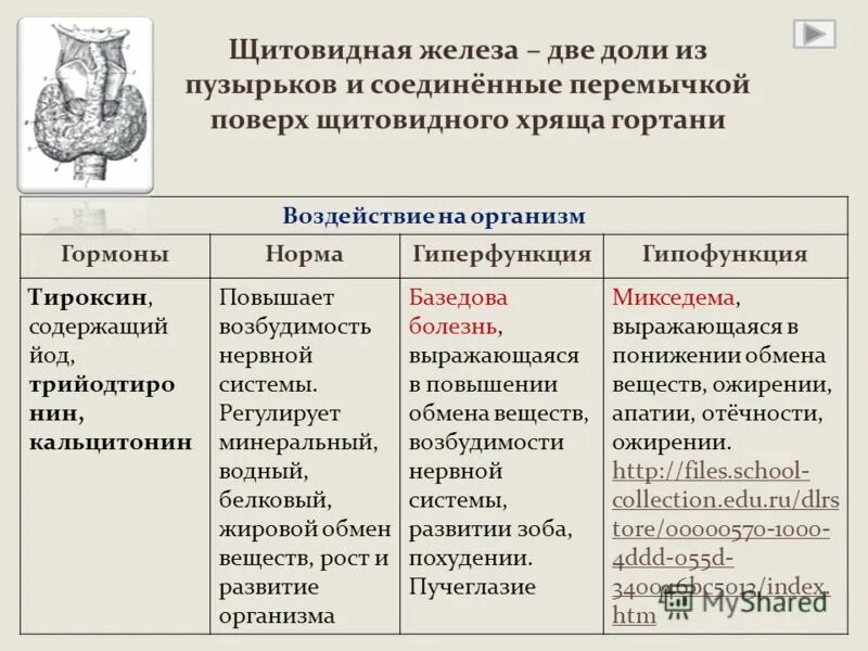 Какие железы выделяют тироксин. Щитовидная железа гормоны и функции. Щитовидная железа гипофункция и гиперфункция. Гиперфункция гормонов щитовидной железы. Щитовидная железа гормоны и функции таблица.