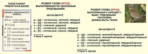 Сколько букв в слове соловья