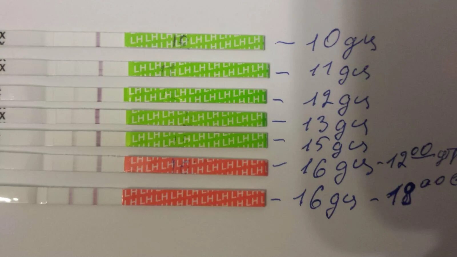 Тест на беременность при поздней овуляции. Тесты на беременность 17 д. ц.. Тест на 17 ДЦ. Поздняя овуляция.